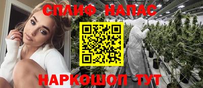 сатива Беслан