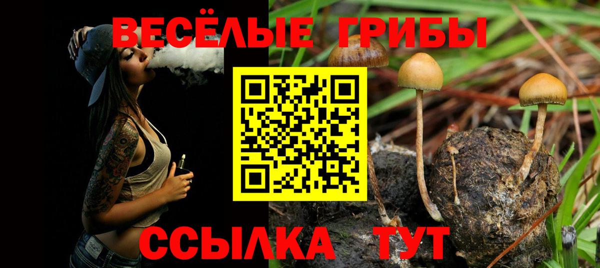 Псилоцибиновые грибы мухоморы  Вход с VPN  Бугульма  Галлюциногенные грибы мухоморы 